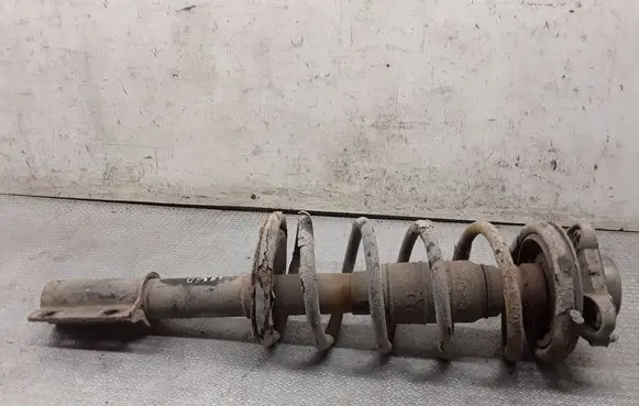 Fiat Ducato Front shock absorber with coil spring