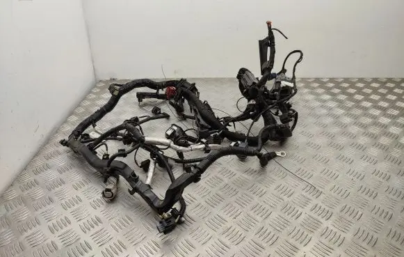 Ford Ecosport Engine installation wiring loom JN1512C508BC