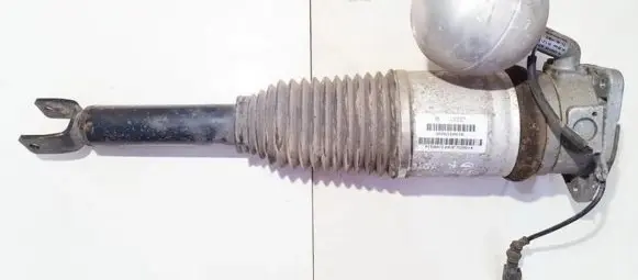 Volkswagen Phaeton Rear shock absorber/damper 3d0616001k