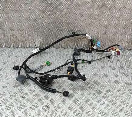 Front door wiring loom