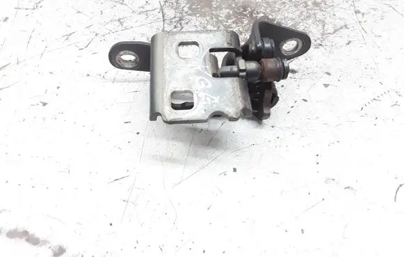 Chrysler Sebring (JS) Rear door lower hinge