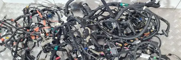 Ford Ranger IV Other wiring loom