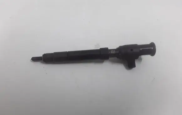 Ford Galaxy Fuel injector 16132317302