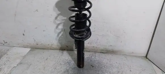 Volkswagen Golf V Front shock absorber/damper 1K0413031BE