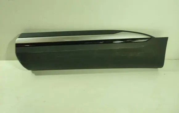 Renault Arkana Rear door trim (molding) 828775575R