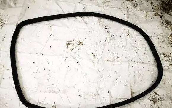 Tesla Model Y Rubber seal rear door 