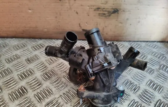 Thermostat/thermostat housing