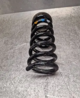 Ford S-MAX Rear coil spring