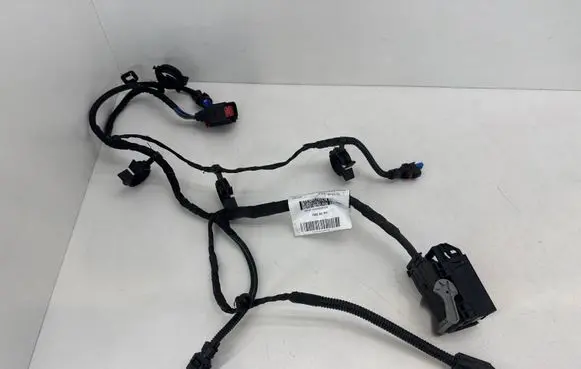 Fisker Ocean Other wiring loom FM2980610094B