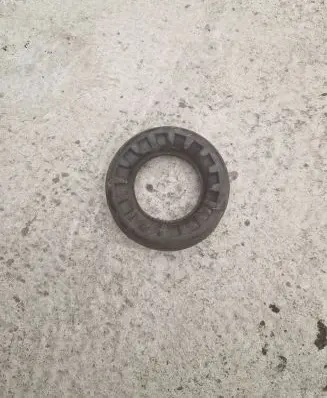 Coil spring mount