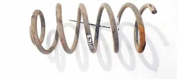 Rear coil spring