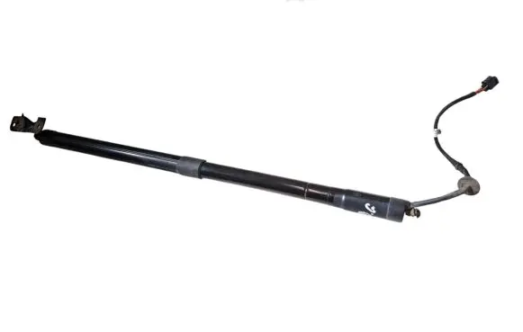 Ford C-MAX II Tailgate strut AM51R404C84 AM51R404C84AG E521A