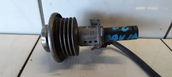 Mercedes-Benz ML W166 AdBlue injector 1644900513