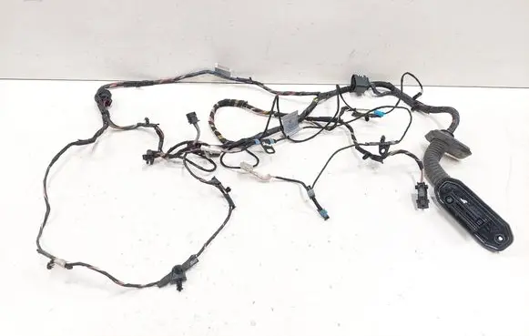 BMW X6 E71 Front door wiring loom 7209881 9239535 15701510