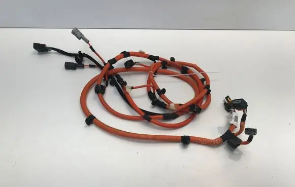 Positive wiring loom