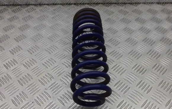 Renault Megane II Rear coil spring