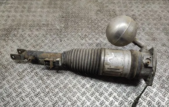 Volkswagen Phaeton Shock absorber/damper/air suspension 3D0616001F 168ATE021146668