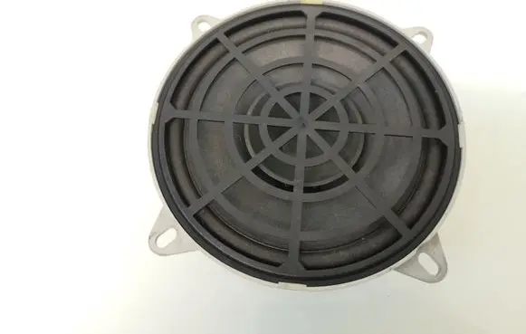 Rear door speaker