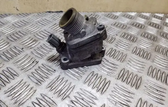 Thermostat/thermostat housing