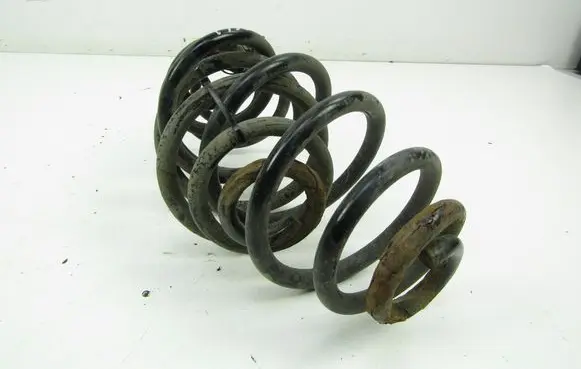 Volkswagen PASSAT B5.5 Rear coil spring 