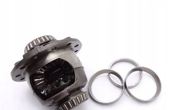 Renault Zoe Rear differential