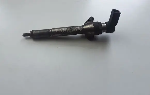 Nissan Qashqai+2 Fuel injector 166009445R