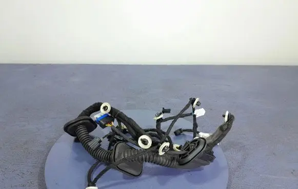 Renault Arkana Other wiring loom 241246054R