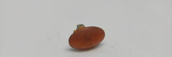Ford Focus Front fender indicator light