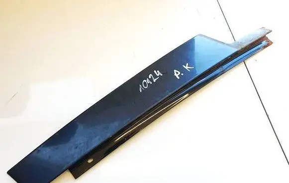 BMW X1 E84 Other front door trim element 