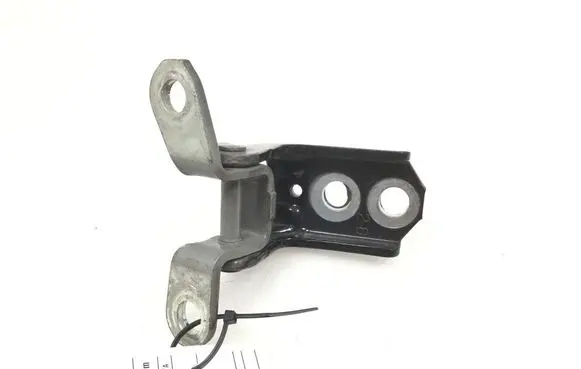 Nissan Juke I F15 Rear door lower hinge 