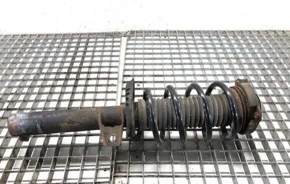 Volkswagen PASSAT B7 Front shock absorber/damper 3C0413031N