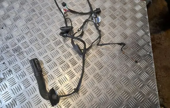 Audi A4 S4 B9 Front door wiring loom 8W0971029AK