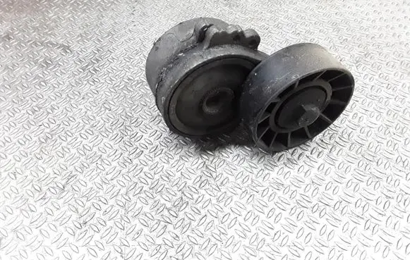 Peugeot 607 Generator/alternator belt tensioner