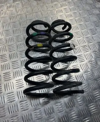Rear coil spring