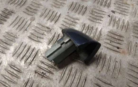BMW X5 E53 Front door handle cover 15284971