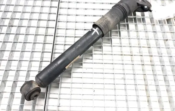 Citroen C4 III e-C4 Rear shock absorber/damper 9841379480