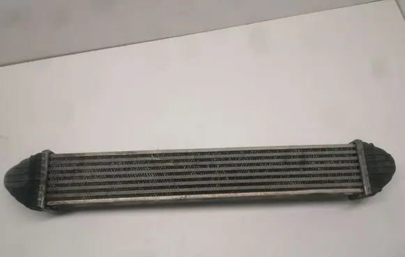 Mercedes-Benz B W245 Intercooler radiator A1695000000