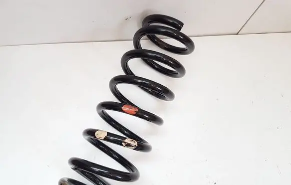 Rear coil spring