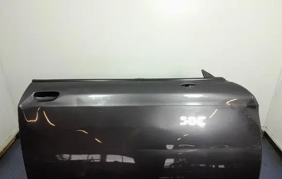 Chrysler Challenger Front door 