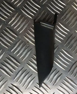 Other rear door trim element