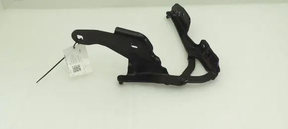 BMW Z4 E89 Tailgate/trunk/boot hinge
