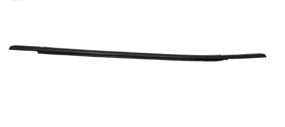 Ford Escape IV Rear door rubber seal (on body) LJ6BS205623A LJ6BS256045A LJ6BS20562