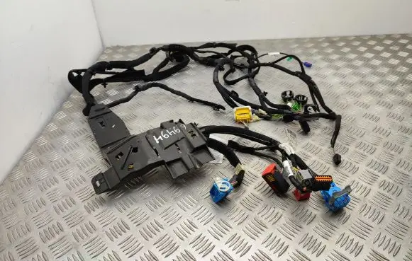 Citroen Berlingo Panel wiring 9820529680