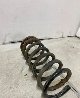 Rear coil spring