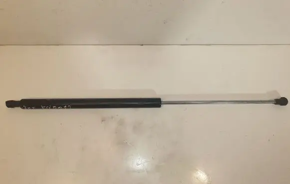 Renault Laguna III Tailgate/trunk strut/damper 844310002R