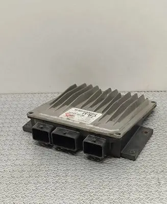 KIA Carnival Engine control unit/module 391024X520