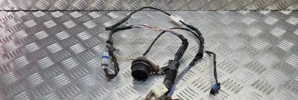 Citroen Xsara Picasso Front door wiring loom 9639466180