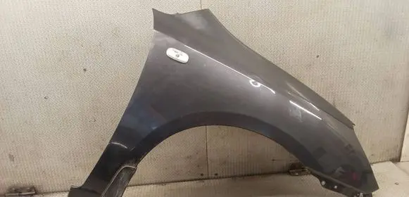 KIA Carens II Fender 