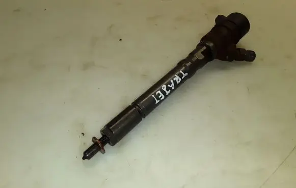Hyundai Trajet Fuel injector 0445110064 3380027010