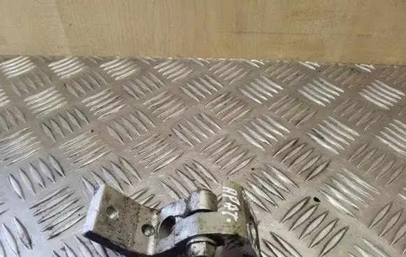Rear door lower hinge